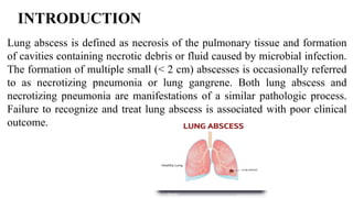 INTRODUCTION
Lung abscess is defined as necrosis of the pulmonary tissue and formation
of cavities containing necrotic debris or fluid caused by microbial infection.
The formation of multiple small (< 2 cm) abscesses is occasionally referred
to as necrotizing pneumonia or lung gangrene. Both lung abscess and
necrotizing pneumonia are manifestations of a similar pathologic process.
Failure to recognize and treat lung abscess is associated with poor clinical
outcome.
 
