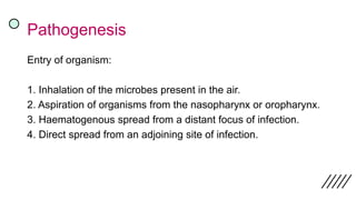 Pathogenesis
Entry of organism:
1. Inhalation of the microbes present in the air.
2. Aspiration of organisms from the nasopharynx or oropharynx.
3. Haematogenous spread from a distant focus of infection.
4. Direct spread from an adjoining site of infection.
 