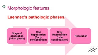 Morphologic features
Laennec’s pathologic phases:
Stage of
congestion
(Initial phase)
Red
Hepatisation
(Early
consolidation)
Grey
Hepatisation
(Late
consolidation)
Resolution
 