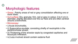 Morphologic features
• Gross: Patchy areas of red or grey consolidation affecting one or
more lobes.
• Cut surface: Dry, granular, firm, red or grey in colour, 3 to 4 cm in
diameter, slightly elevated over the sur face and are often centred
around a bronchiole.
• Microscopy:
• i) Acute bronchiolitis.
• ii) Suppurative exudate, consisting chiefly of neutrophils in the
peribronchiolar alveoli.
• iii) Thickening of the alveolar septa by congested capillaries and
leucocytic infiltration.
• iv) Less involved alveoli contain oedema fluid
 