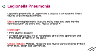 Legionella Pneumonia
Legionella pneumonia or Legionnaire’s disease is an epidemic illness
caused by gram-negative bacilli.
Gross: Bronchopneumonia involving many lobes and there may be
consolidation of the entire lung. Pleural effusion +.
Microscopy:
• Intra-alveolar exudate
• Alveolar septa show foci of hyperplasia of the lining epithelium and
thrombosis of vessels in the septa.
Clinical features: Malaise, headache and muscle-aches followed by high
fever, chills, cough and tachypnoea.
 