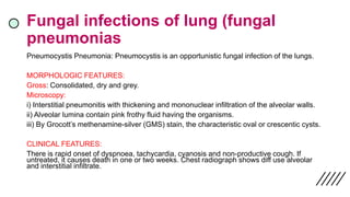 Fungal infections of lung (fungal
pneumonias
Pneumocystis Pneumonia: Pneumocystis is an opportunistic fungal infection of the lungs.
MORPHOLOGIC FEATURES:
Gross: Consolidated, dry and grey.
Microscopy:
i) Interstitial pneumonitis with thickening and mononuclear infiltration of the alveolar walls.
ii) Alveolar lumina contain pink frothy fluid having the organisms.
iii) By Grocott’s methenamine-silver (GMS) stain, the characteristic oval or crescentic cysts.
CLINICAL FEATURES:
There is rapid onset of dyspnoea, tachycardia, cyanosis and non-productive cough. If
untreated, it causes death in one or two weeks. Chest radiograph shows diff use alveolar
and interstitial infiltrate.
 