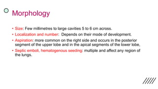 Morphology
• Size: Few millimetres to large cavities 5 to 6 cm across.
• Localization and number: Depends on their mode of development.
• Aspiration: more common on the right side and occurs in the posterior
segment of the upper lobe and in the apical segments of the lower lobe,
• Septic emboli, hematogenous seeding: multiple and affect any region of
the lungs.
 