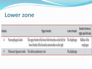 Lower zone
 