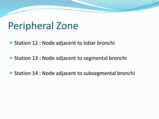 Peripheral Zone
 Station 12 : Node adjacent to lobar bronchi
 Station 13 : Node adjacent to segmental bronchi
 Station 14 : Node adjacent to subsegmental bronchi
 