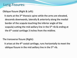 Lung Fissures:
Oblique fissure (Right & Left):
It starts at the 3rd thoracic spine while the arms are elevated,
descends downwards, laterally & anteriorly along the medial
border of the scapula touching the inferior angle of the
scapula) cutting the mid axillary line in the 5th rib & ending at
the 6th costal cartilage 3 inches from the midline.
The transverse fissure (Right):
It arises at the 4th costal cartilage, runs horizontally to meet the
oblique fissure in the mid axillary line in the 5th rib.
 