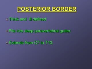 POSTERIOR BORDER
Thick and ill defined

Fits into deep paravertebral gutter.

Extends from C7 to T10.
 