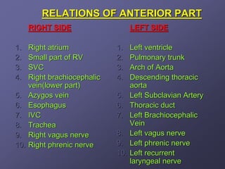 RELATIONS OF ANTERIOR PART
      RIGHT SIDE                    LEFT SIDE

1.    Right atrium            1.    Left ventricle
2.    Small part of RV        2.    Pulmonary trunk
3.    SVC                     3.    Arch of Aorta
4.    Right brachiocephalic   4.    Descending thoracic
      vein(lower part)              aorta
5.    Azygos vein             5.    Left Subclavian Artery
6.    Esophagus               6.    Thoracic duct
7.    IVC                     7.    Left Brachiocephalic
8.    Trachea                       Vein
9.    Right vagus nerve       8.    Left vagus nerve
10.   Right phrenic nerve     9.    Left phrenic nerve
                              10.   Left recurrent
                                    laryngeal nerve
 