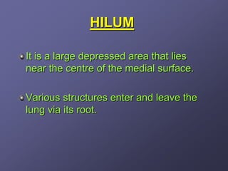 HILUM

It is a large depressed area that lies
near the centre of the medial surface.

Various structures enter and leave the
lung via its root.
 