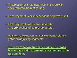 These segments are pyramidal in shape with
apex towards the root of lung.

Each segment is an independent respiratory unit.

Each segment has its own separate
artery(branches of pulmonary artery).

Pulmonary Veins run in inter-segmental planes
between adjoining segments.

Thus a bronchopulmonary segment is not a
bronchovascular segment as it does not have
its own vein.
 