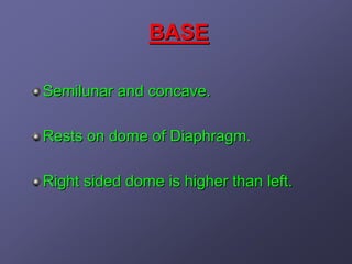 BASE

Semilunar and concave.

Rests on dome of Diaphragm.

Right sided dome is higher than left.
 