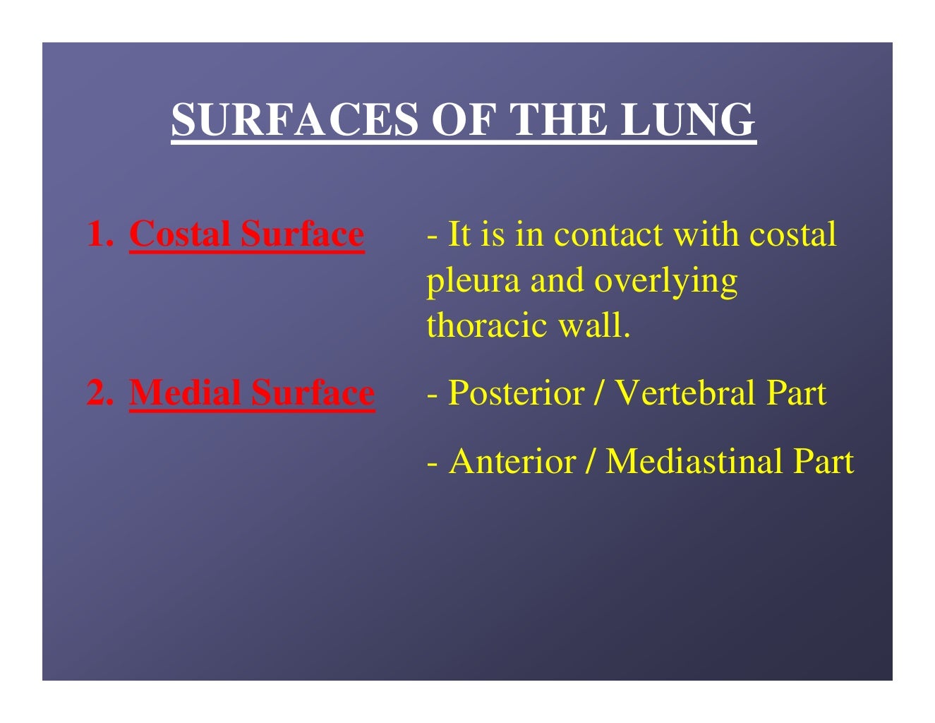 Lung anatomy.