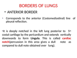 LUNG ANATOMY AND DEVELOPMENT presentation | PPTX