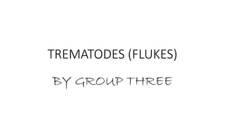 TREMATODES (FLUKES)
BY GROUP THREE
 
