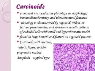 ANATOMY,PATHOLOGY, INVESTIGATIVE WORK –UP AND STAGING OF LUNG CANCER | PPT