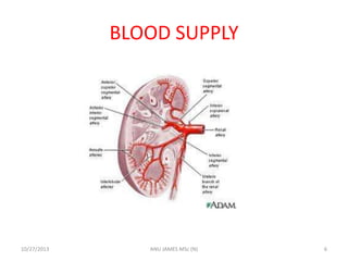 BLOOD SUPPLY

10/27/2013

ANU JAMES MSc (N)

6

 