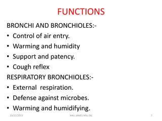 FUNCTIONS
BRONCHI AND BRONCHIOLES:• Control of air entry.
• Warming and humidity
• Support and patency.
• Cough reflex
RESPIRATORY BRONCHIOLES:• External respiration.
• Defense against microbes.
• Warming and humidifying.
10/27/2013

ANU JAMES MSc (N)

7

 