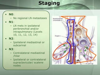 Staging
• N0:
– No regional LN metastases

• N1:
– LN mets in ipsilateral
peribronchial and/or
intrapulmonary (Levels
10, 11, 12, 13, 14)

• N2:
– Ipsilateral mediastinal or
subcarinal

• N3:
– Contralateral mediastinal
/hilar
– Ipsilateral or contralateral
supraclavicular/ scalene
nodes

 