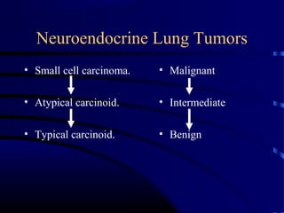 Neuroendocrine Lung Tumors
• Small cell carcinoma.
• Atypical carcinoid.
• Typical carcinoid.
• Malignant
• Intermediate
• Benign
 