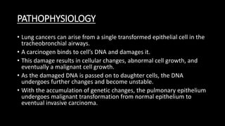 PATHOPHYSIOLOGY
• Lung cancers can arise from a single transformed epithelial cell in the
tracheobronchial airways.
• A carcinogen binds to cell’s DNA and damages it.
• This damage results in cellular changes, abnormal cell growth, and
eventually a malignant cell growth.
• As the damaged DNA is passed on to daughter cells, the DNA
undergoes further changes and become unstable.
• With the accumulation of genetic changes, the pulmonary epithelium
undergoes malignant transformation from normal epithelium to
eventual invasive carcinoma.
 
