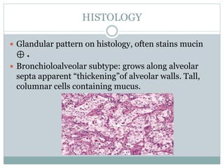 HISTOLOGY
 Glandular pattern on histology, often stains mucin
⊕ .
 Bronchioloalveolar subtype: grows along alveolar
septa apparent “thickening”of alveolar walls. Tall,
columnar cells containing mucus.
 