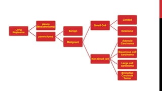 Lung
Neplasms
pleura
(Mesothelioma)
parenchyma
Benign
Malignant
Small Cell
Limited
Extensive
Non-Small cell
Adenoid
Carcinoma
Squamous cell
carcinoma
Large cell
carcinoma
Bronchial
Carcinoid
Tumor
 