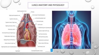 LUNGS ANATOMY AND PHYSIOLOGY
 