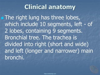 Сlinical anatomy
◼ The right lung has three lobes,
which include 10 segments, left - of
2 lobes, containing 9 segments.
Bronchial tree. The trachea is
divided into right (short and wide)
and left (longer and narrower) main
bronchi.
https://mbbshelp.com
 