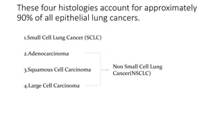 These four histologies account for approximately
90% of all epithelial lung cancers.
1.Small Cell Lung Cancer (SCLC)
2.Adenocarcinoma
3.Squamous Cell Carcinoma
4.Large Cell Carcinoma
Non Small Cell Lung
Cancer(NSCLC)
 