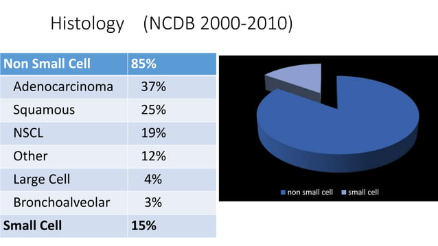 Lung cancer anatomy to pathological classification | PPTX | Lung and ...