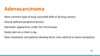 Adenocarcinoma
Most common type of lung cancer(40-50% of all lung cancer)
Clearly defined peripheral lesions.
Glandular appearance under the microscope.
Easily seen on a chest x-ray.
Slow metastasis and patients develop brain, liver, adrenal or bone metastasis.
10
 