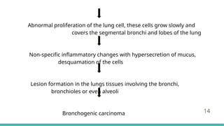 Abnormal proliferation of the lung cell, these cells grow slowly and
c covers the segmental bronchi and lobes of the lung
Non-specific inflammatory changes with hypersecretion of mucus, d d
desquamation of the cells
Lesion formation in the lungs tissues involving the bronchi, b b b
bronchioles or even alveoli
Bronchogenic carcinoma 14
 