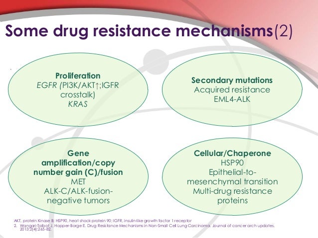 epub Writing the Ottomans: Turkish History