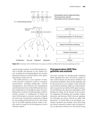 Lung cancer, 3rd ed
