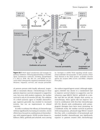 Lung cancer, 3rd ed