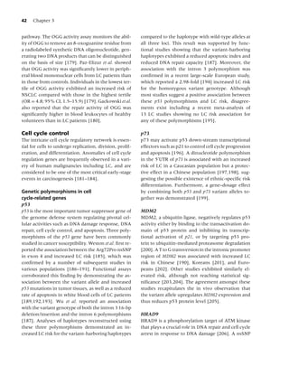 42   Chapter 3


pathway. The OGG activity assay monitors the abil-         compared to the haplotype with wild-type alleles at
ity of OGG to remove an 8-oxoguanine residue from          all three loci. This result was supported by func-
a radiolabeled synthetic DNA oligonucleotide, gen-         tional studies showing that the variant-harboring
erating two DNA products that can be distinguished         haplotypes exhibited a reduced apoptotic index and
on the basis of size [179]. Paz-Elizur et al. showed       reduced DNA repair capacity [187]. Moreover, the
that OGG activity was signiﬁcantly lower in periph-        association with the intron 3 polymorphism was
eral blood mononuclear cells from LC patients than         conﬁrmed in a recent large-scale European study,
in those from controls. Individuals in the lowest ter-     which reported a 2.98-fold [194] increased LC risk
tile of OGG activity exhibited an increased risk of        for the homozygous variant genotype. Although
NSCLC compared with those in the highest tertile           most studies suggest a positive association between
(OR = 4.8; 95% CI, 1.5–15.9) [179]. Gackowski et al.       these p53 polymorphisms and LC risk, disagree-
also reported that the repair activity of OGG was          ments exist including a recent meta-analysis of
signiﬁcantly higher in blood leukocytes of healthy         13 LC studies showing no LC risk association for
volunteers than in LC patients [180].                      any of these polymorphisms [195].

Cell cycle control                                         p73
The intricate cell cycle regulatory network is essen-      p73 may activate p53 down-stream transcriptional
tial for cells to undergo replication, division, prolif-   effectors such as p21 to control cell cycle progression
eration, and differentiation. Anomalies of cell cycle      and apoptosis [196]. A dinucleotide polymorphism
regulation genes are frequently observed in a vari-        in the 5 UTR of p73 is associated with an increased
ety of human malignancies including LC, and are            risk of LC in a Caucasian population but a protec-
considered to be one of the most critical early-stage      tive effect in a Chinese population [197,198], sug-
events in carcinogenesis [181–184].                        gesting the possible existence of ethnic-speciﬁc risk
                                                           differentiation. Furthermore, a gene–dosage effect
Genetic polymorphisms in cell                              by combining both p53 and p73 variant alleles to-
cycle-related genes                                        gether was demonstrated [199].
p53
p53 is the most important tumor suppressor gene of         MDM2
the genome defense system regulating pivotal cel-          MDM2, a ubiquitin ligase, negatively regulates p53
lular activities such as DNA damage response, DNA          activity either by binding to the transactivation do-
repair, cell cycle control, and apoptosis. Three poly-     main of p53 protein and inhibiting its transcrip-
morphisms of the p53 gene have been commonly               tional activation of p21, or by targeting p53 pro-
studied in cancer susceptibility. Weston et al. ﬁrst re-   tein to ubiquitin-mediated proteasome degradation
ported the association between the Arg72Pro nsSNP          [200]. A T to G transversion in the intronic promoter
in exon 4 and increased LC risk [185], which was           region of MDM2 was associated with increased LC
conﬁrmed by a number of subsequent studies in              risk in Chinese [190], Koreans [201], and Euro-
various populations [186–191]. Functional assays           peans [202]. Other studies exhibited similarly el-
corroborated this ﬁnding by demonstrating the as-          evated risk, although not reaching statistical sig-
sociation between the variant allele and increased         niﬁcance [203,204]. The agreement amongst these
p53 mutations in tumor tissues, as well as a reduced       studies recapitulates the in vivo observation that
rate of apoptosis in white blood cells of LC patients      the variant allele upregulates MDM2 expression and
[189,192,193]. Wu et al. reported an association           thus reduces p53 protein level [205].
with the variant genotype of both the intron 3 16-bp
deletion/insertion and the intron 6 polymorphisms          HRAD9
[187]. Analyses of haplotypes reconstructed using          HRAD9 is a phosphorylation target of ATM kinase
these three polymorphisms demonstrated an in-              that plays a crucial role in DNA repair and cell cycle
creased LC risk for the variant-harboring haplotypes       arrest in response to DNA damage [206]. A nsSNP
 