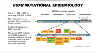 EGFR MUTATIONAL EPIDEMIOLOGY
 Found in ~ 20% to 30% of
patients with NSCLC globally
 More common in never-
smokers, adenocarcinomas,
females, Asians
 Predominantly located in
EGFR exons 18-21
 The specific EGFR mutation
identified is important:
sensitive mutations, primary
resistance mutations, and
de novo and acquired
resistance mutations
EGFR Kinase Domain Mutations
Ligand Binding Transmembrane Tyrosine Kinase Autophosphorylation
N
N
K754R S768I*
L861Q*
A871G
L833V/
H835L/
L838V
E884K
L858R
~ 41%
Ins761 (EAFQ)/
Ins770 (ASV)/
Ins771 (G)/
Ins774 (NPH)
~ 3%
G719S*
~ 5%
E709A/
E709G
C
C
Y891
Y920
Y992
Y1045
Y1068
Y1086
Y1148
Y1173
T790M
~ 3%
EXON 18 19 20 21 22 23 24
del 747-752
and others
~ 48%
*Noncanonical EGFR mutations.
 