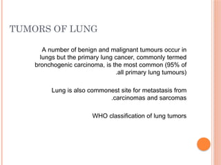 Comprehensive Overview of Lung Cancer: Types, Diagnosis, and Treatment ...