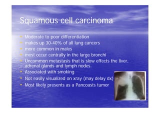 Squamous cell carcinoma
• Moderate to poor differentiation
• makes up 30-40% of all lung cancers
• more common in males
• most occur centrally in the large bronchi
• Uncommon metastasis that is slow effects the liver,
adrenal glands and lymph nodes.
• Associated with smoking
• Not easily visualized on xray (may delay dx)
• Most likely presents as a Pancoasts tumor
 