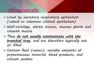 Microscopically:
 Lined by secretory respiratory epithelium
(cuboid or columnar ciliated epithelium)
 Wall-cartilage, elastic tissues, mucous glands and
smooth muscle
 They do not usually communicate with the
bronchial tree, and are therefore typically not
air filled.
 Contain fluid (water), variable amounts of
proteinaceous material, blood products, and
calcium oxalate
 