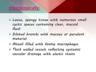 microscopically:
 Loose, spongy tissue with numerous small
cystic spaces containing clear, mucoid
fluid.
 Dilated bronchi with mucous or purulent
material
 Alveoli filled with foamy macrophages
 Thick walled vessels reflecting systemic
vascular drainage with elastic stains
 