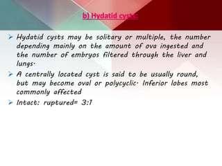 b) Hydatid cysts:
 Hydatid cysts may be solitary or multiple, the number
depending mainly on the amount of ova ingested and
the number of embryos filtered through the liver and
lungs.
 A centrally located cyst is said to be usually round,
but may become oval or polycyclic. Inferior lobes most
commonly affected
 Intact: ruptured= 3:1
 