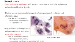 lung cytology reporting [Autosaved].pptx