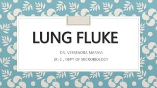 LUNG FLUKE
DR. VEERENDRA MARAVI
JR-2 , DEPT OF MICROBIOLOGY
 