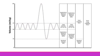 Lung Function Ranges LUNG FUNCTION TEST.pptx