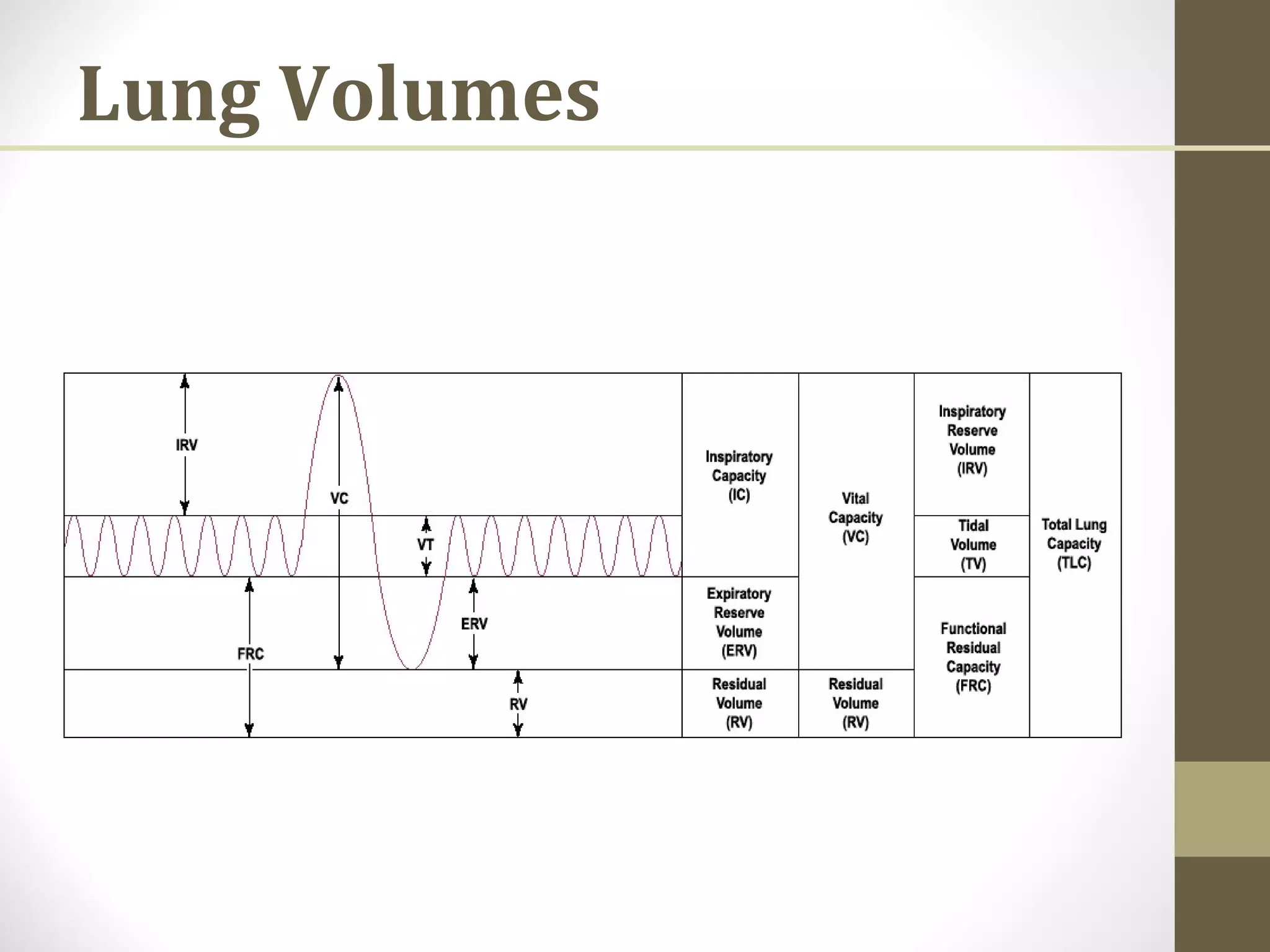 Lung Volumes
 