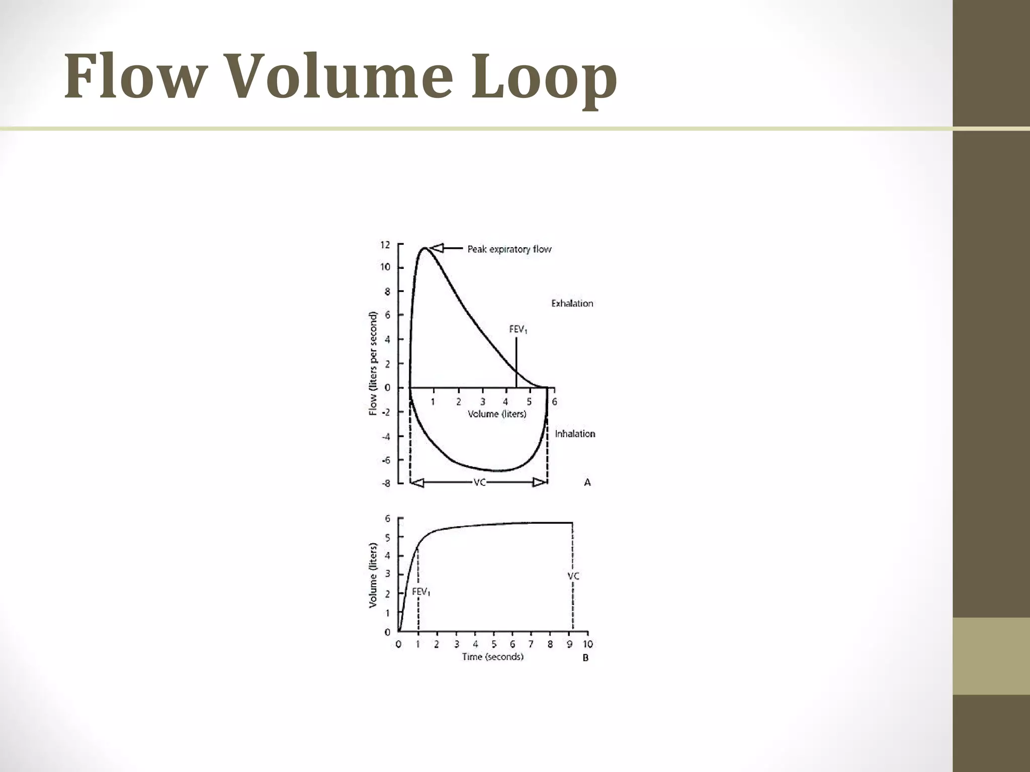 Flow Volume Loop
 