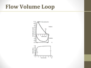 Flow Volume Loop
 