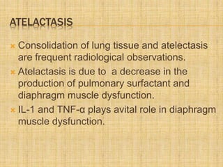 ATELACTASIS
 Consolidation of lung tissue and atelectasis
are frequent radiological observations.
 Atelactasis is due to a decrease in the
production of pulmonary surfactant and
diaphragm muscle dysfunction.
 IL-1 and TNF-α plays avital role in diaphragm
muscle dysfunction.
 
