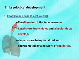 Embryological development
• Canalicular phase (17-24 weeks)
–The diameter of the tube increases
–Respiratory bronchioles and alveolar ducts
develop.
–airspaces are being canalized and
approximated by a network of capillaries.
 